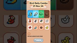 Bird Daily Combo 21 Nov 24 birds bird rizivlogs [upl. by Ainesy790]