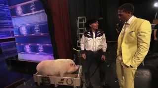 John Vincent and Mudslinger  Auditions Americas Got Talent 2014 [upl. by Atsilac]