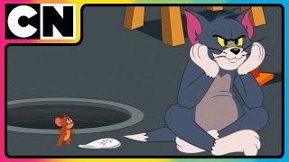 Tom amp Jerry😺🐭 Tom’s Epic Body Transformation😼 Cat and Mouse Cartoon  Compilation  cnindia [upl. by Noella]