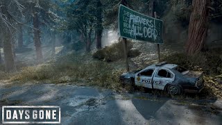 Days Gone  погоня l PS5 4K l [upl. by Mead476]