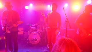 The Fauves Dogs are the best people Republic Bar nipaluna Hobart Friday November 15 2024 [upl. by Ezaria]