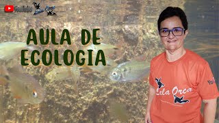 AULA DE ECOLOGIA  PRIMEIROS CONCEITOS [upl. by Calandra]