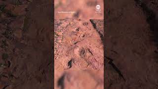 Drone captures worlds largest continuous set of dino tracks [upl. by Green212]