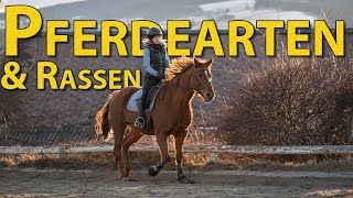 Pferdearten und Rassen Warmblut Kaltblut Pony   Unterschiede und Körperbau [upl. by Narine]