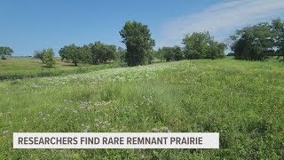 Researchers discover rare remnant prairie in north Ames [upl. by Gustavo]