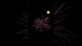 Testing Every Firework in Fireworks Mania gaming fireworks shorts 22 [upl. by Seale]