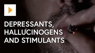 Drug Awareness Depressants Hallucinogens And Stimulants [upl. by Paten]