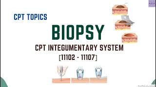 BIOPSY CPT INTEGUMENTARY SYSTEM\ CPT TOPICS MEDICAL CODING AND BILLING medicalcodercertified [upl. by Sheba]