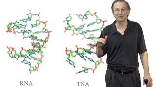 Jack Szostak HarvardHHMI Part 3 Nonenzymatic Copying of Nucleic Acid Templates [upl. by Grochow203]