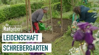 So gelingt der Gemüseanbau  Kleiner Schrebergarten – große Freiheit 15  die Ratgeber [upl. by Herbert670]