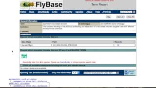 Finding related genesalleles in FlyBase Vocabularies [upl. by Teryl]