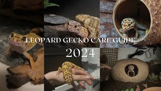 Leopard Gecko Care Guide 2024  Rosies Reptiles [upl. by Akiemehs375]