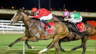 SPIRIT DANCER wins the 2024 Bahrain International Trophy G2 [upl. by Stevena]