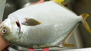 Yum Pompano Fish Recipe  Fish [upl. by Pasho103]