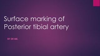 posterior tibial artery surface marking surface marking of posterior tibial artery [upl. by Evante]