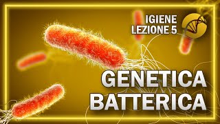 BATTERI  Parte 2 Genetica batterica  Igiene  Socio Sanitari  Lezione 5 [upl. by Tlevesoor]