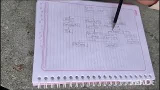 EstructuraOrganigrama lineal funcional [upl. by Nisse38]