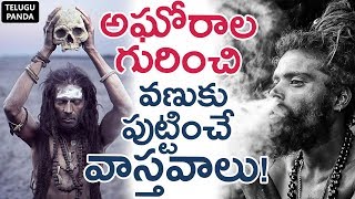 Unknown Facts About AGORAS Life Will Scare You  అఘోరాలు గురించి వణుకు పుట్టించే వాస్తవాలు [upl. by Nagear743]