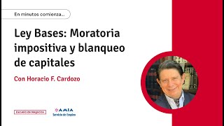 Ley Bases Moratoria impositiva y blanqueo de capitales  Con Horacio Cardozo [upl. by Aihtenyc]