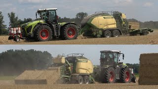 CLAAS XERION 4200 mit KRONE BiGPACK 1290 amp BaleCollect am Quaderballenpressen  SOUND  4K [upl. by Aldarcie]