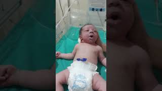 New born baby milk feeding baby boy 🍼👩‍🍼🥰😍🙏newbornbaby nicucere babyboy [upl. by Htepsle]