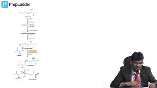Synthesis of nonessential amino acids  MCQ discussion [upl. by Eelyram718]