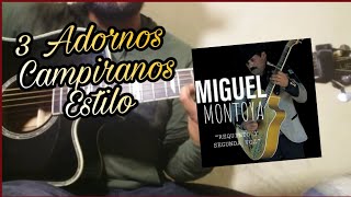 3 Adornos Campiranos Estilo Miguel Montoya  Miguel Y Miguel  Tutorial de Guitarra [upl. by Godart828]