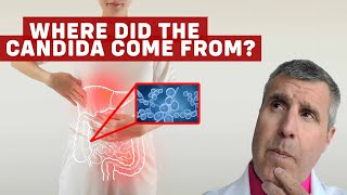 How Did I Get Candida [upl. by Darraj]