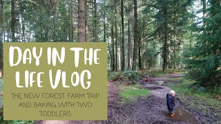 DAY IN THE LIFE VLOG  NEW FOREST FARMS AND BAKING WITH TODDLERS [upl. by Wehner548]