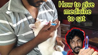 How To Give Medicine To Cat  Tamil  Vinothjustice [upl. by Unity215]