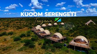 Kuoom Serengeti Lodge  Insights Serengeti National Park Tanzania 2024 [upl. by Lambrecht839]