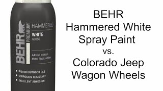 BEHR Spray Paint Review Hammered White from Home Depot [upl. by Maurilla49]