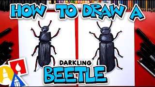 How To Draw A Darkling Beetle [upl. by Korwun]