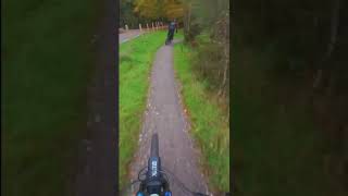 Haldon Red Trail POV mtb ytshort mountainbikejumps downhill mtbjump mountainbike [upl. by Packer]