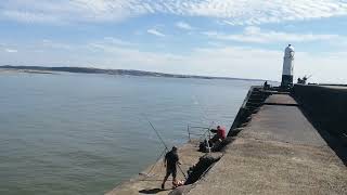 Porthcawl Pier 160824 [upl. by Malony778]