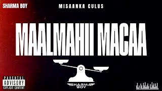 Sharma Boy  Maalmihii Macaa Official Audio [upl. by Allare507]