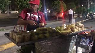 Comida callejera de Guadalajara [upl. by Eirtemed]