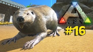 Ark Survival Evolved 16 Prezivljavanje  Dabar Castoroides i Gallimimus [upl. by Yule329]