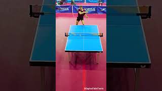 GREAT POINT  Drop Shot tabletennisstrokes [upl. by Heber]