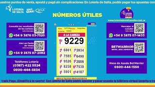 SORTEO VESPERTINO 12112024 [upl. by Ring522]