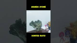 batu suiseki bermotif unik suiseki stone [upl. by Luanne]