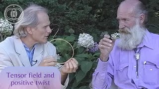 Slim Spurling explains the positive twist of the LightLife Tensor Rings slimspurling tensorrings [upl. by Bennion136]