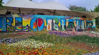 Floriade 2023 Canberra BestOfFlowersTV NatGeo discovery TravelGuidesAU australia flowers [upl. by Melar764]