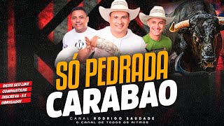 CARABAO SÓ PEDRADA NA EXCLUSIVE DJ SILVINHO [upl. by Neelav702]