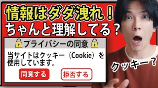 【理解してる？】クッキーCookieへの同意って何？【情報を守れ】 [upl. by Fin125]