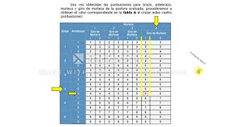 Evaluación Ergonómica con método RULA [upl. by Annavoj]