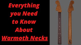 Everything you Need to Know About Warmoth Necks [upl. by Aleetha]