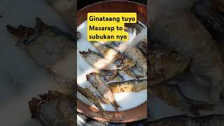 Ginataang tuyo masarap na mura pa food satisfying recipe foryourchannel ginataangtuyo [upl. by Dwight115]