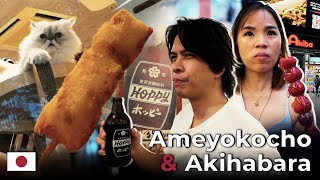 Kumain sa Ameyokocho Naulanan sa Akihabara  DenDanDun sa Japan Day 2 Pt 3 [upl. by Attenehs]