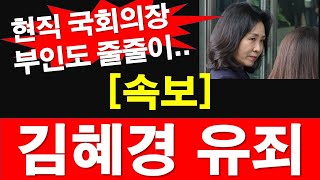 속보 경기도 법카 유용 김혜경 유죄 벌금 150만 원 현직 국회의장 부인도 줄줄이 레지스탕스TV 정광용TV [upl. by Einegue]